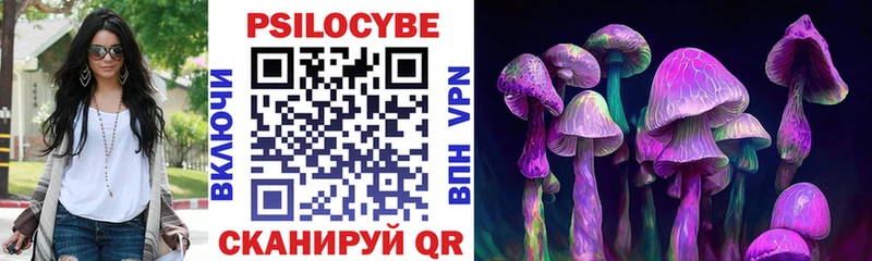 купить  сайты  Полярный  Галлюциногенные грибы Psilocybe 